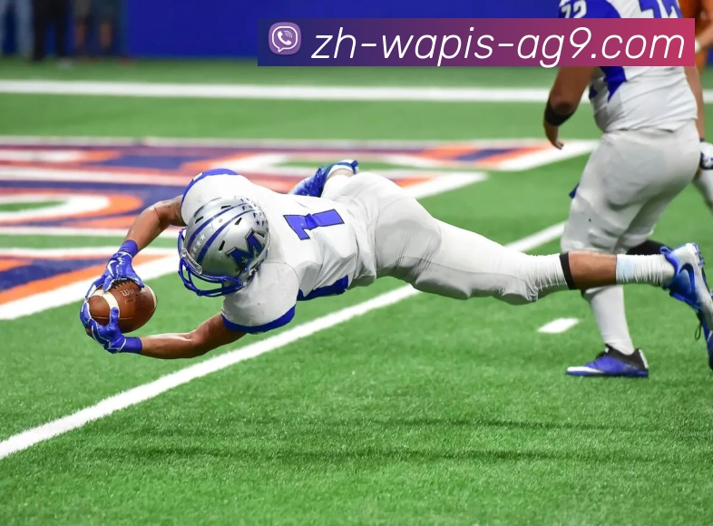 多媒体互动体验